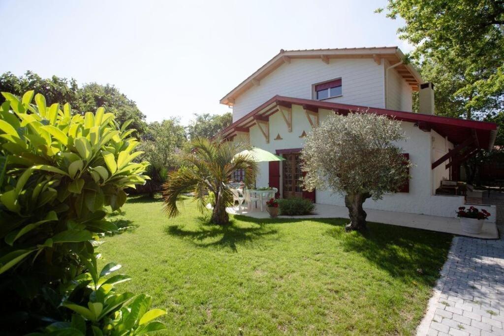 Villa Robert Shumann, A 700 M De La Plage Andernos-les-Bains Εξωτερικό φωτογραφία