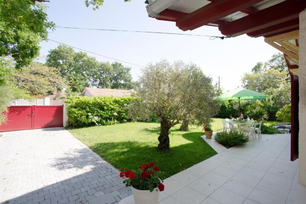 Villa Robert Shumann, A 700 M De La Plage Andernos-les-Bains Εξωτερικό φωτογραφία